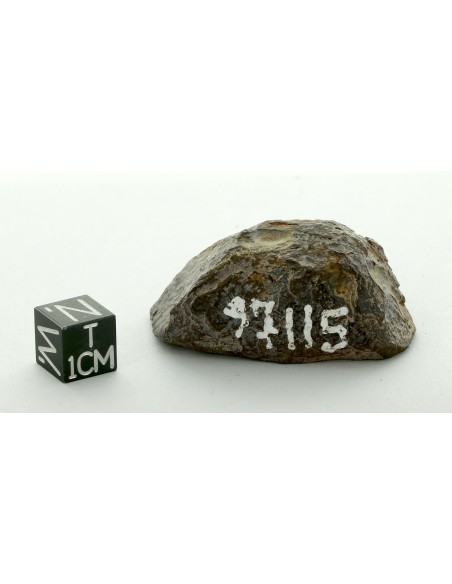 Sahara 97115 EH3 Enstatite Chondrite Endcut 52.90 g
