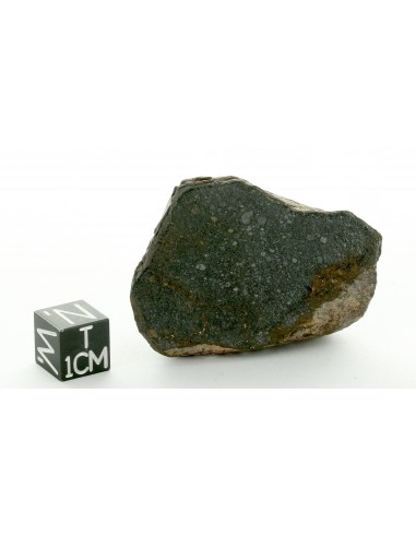 Sahara 97115 EH3 Enstatite Chondrite Endcut 52.90 g