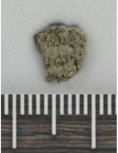 NWA 8694 Chassignite 0.204 g | Martian Meteorite with Crust