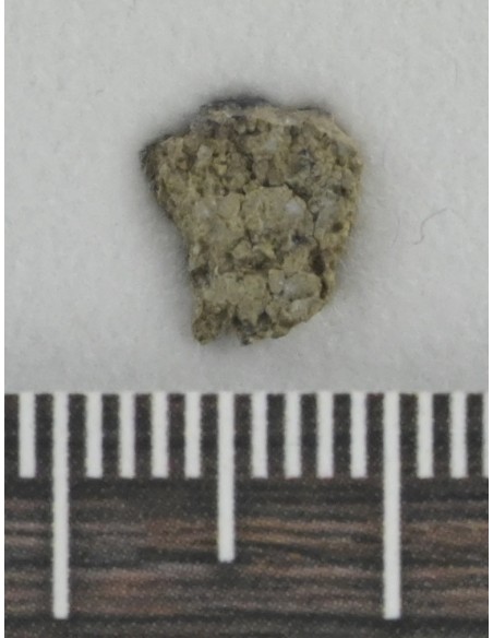 NWA 8694 Chassignite 0.204 g | Martian Meteorite with Crust