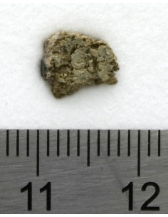 NWA 8694 Chassignite 0.204 g | Martian Meteorite with Crust