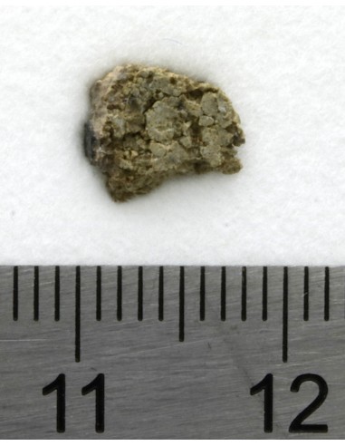 NWA 8694 Chassignite 0.204 g | Martian Meteorite with Crust