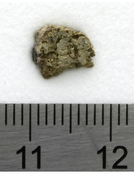 NWA 8694 Chassignite 0.204 g | Martian Meteorite with Crust