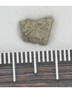 NWA 8694 Chassignite 0.253 g | Martian Interior Slice 2