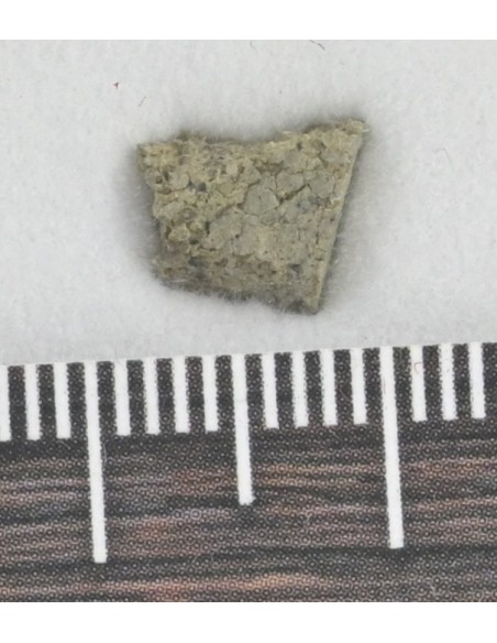 NWA 8694 Chassignite 0.253 g | Martian Interior Slice