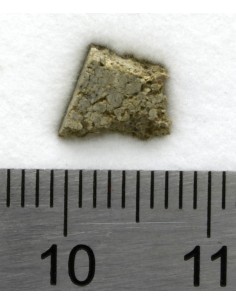 NWA 8694 Chassignite 0.253 g | Martian Interior Slice