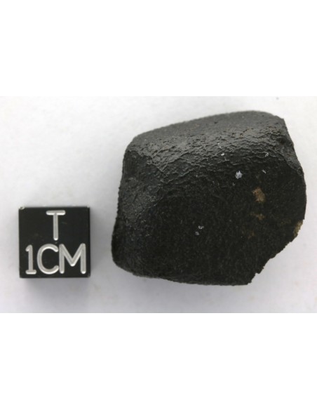 Nakhlite Meteorite 25.02 g | Complete Martian Stone with Crust