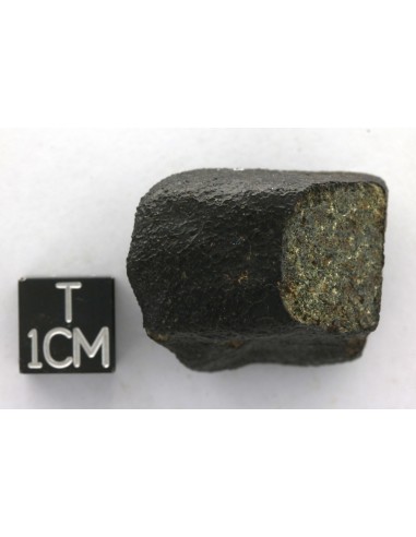 Nakhlite Meteorite 25.02 g | Complete Martian Stone with Crust