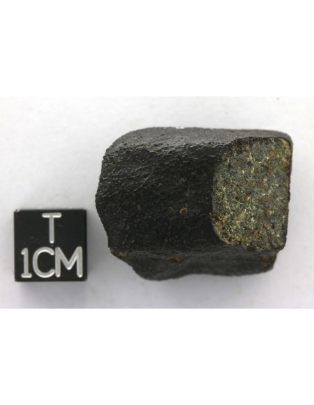 Nakhlite Meteorite 25.02 g | Complete Martian Stone with Crust