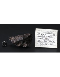Sikhote-Alin Meteorite 151.90 g – Historic Individual with Old Institu