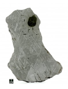 Gibeon Meteorite 727 g – Etched Slice with Troilite