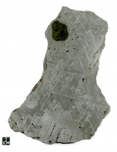 Gibeon Meteorite 727 g – Etched Slice with Troilite 2