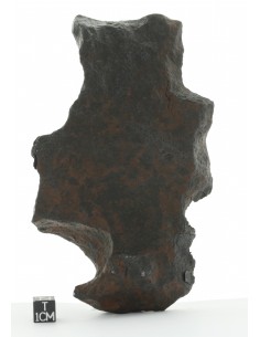 Gibeon Meteorite 782 g Complete Iron Individual