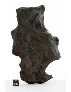 Gibeon Meteorite 782 g Complete Iron Individual 2