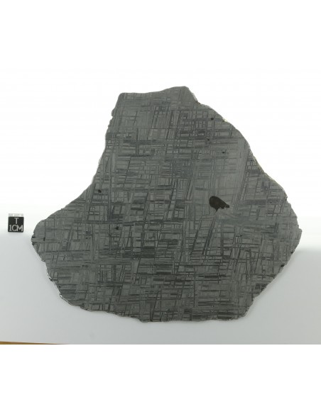 Muonionalusta Meteorite Slice 279 g Widmanstätten
