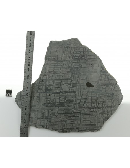 Muonionalusta Meteorite Slice 279 g Widmanstätten