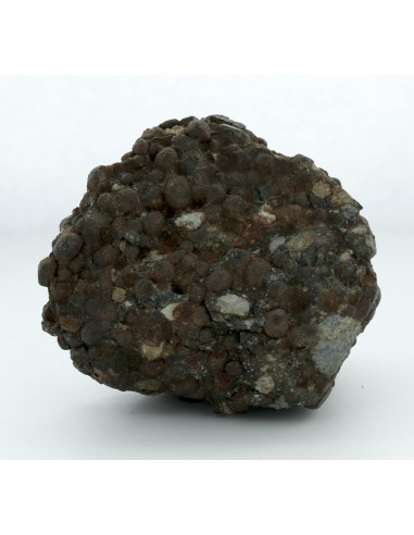 Gujba CB Chondrite Complete Individual 359 g | Rare Witnessed Fall