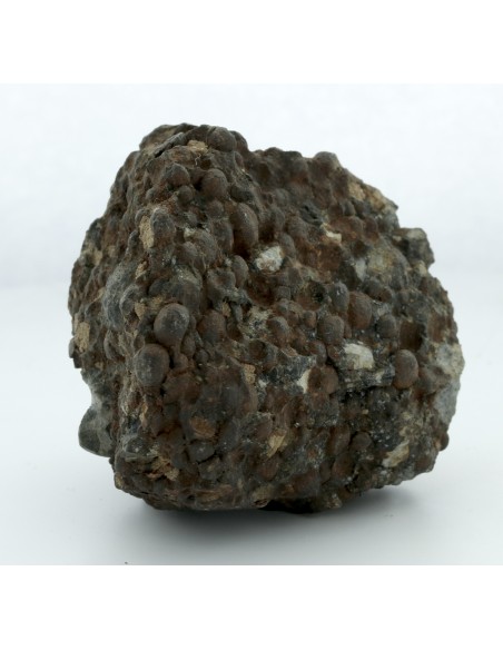 Gujba CB Chondrite Complete Individual 359 g | Rare Witnessed Fall