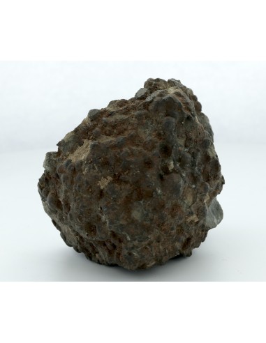 Gujba CB Chondrite Complete Individual 359 g | Rare Witnessed Fall