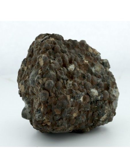 Gujba CB Chondrite Complete Individual 359 g | Rare Witnessed Fall
