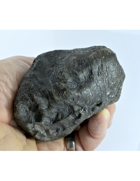 NWA 17939 Oriented Eucrite – Shield-Shaped Complete Individual 595 g