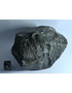 NWA 17939 Oriented Eucrite – Shield-Shaped Complete Individual 595 g 2
