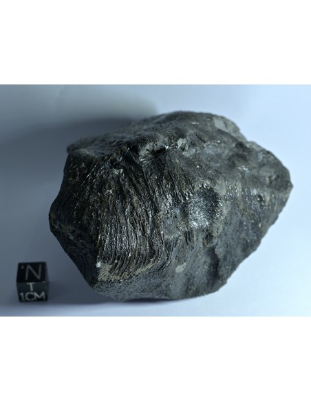 NWA 17939 Oriented Eucrite – Shield-Shaped Complete Individual 595 g