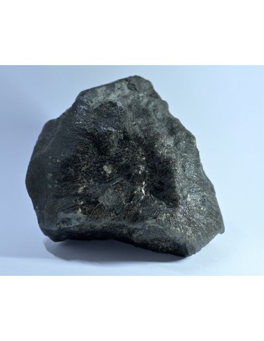 NWA 17939 Oriented Eucrite – Shield-Shaped Complete Individual 595 g