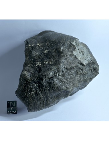 NWA 17939 Oriented Eucrite – Shield-Shaped Complete Individual 595 g