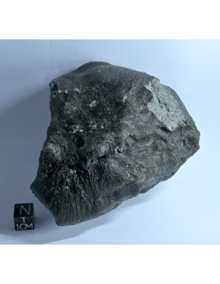 NWA 17939 Oriented Eucrite – Shield-Shaped Complete Individual 595 g