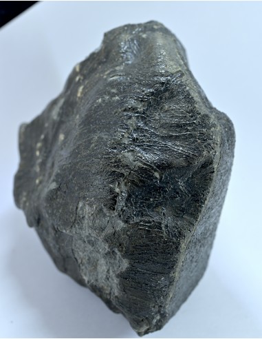 NWA 17939 Oriented Eucrite – Shield-Shaped Complete Individual 595 g