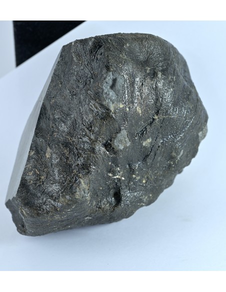 NWA 17939 Oriented Eucrite – Shield-Shaped Complete Individual 595 g