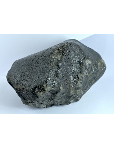 NWA 17939 Oriented Eucrite – Shield-Shaped Complete Individual 595 g