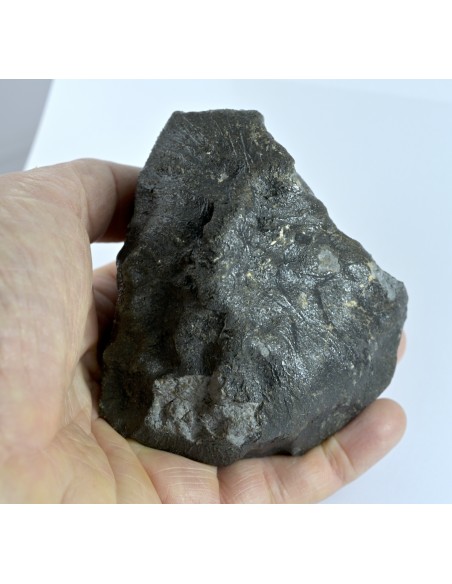 NWA 17939 Oriented Eucrite – Shield-Shaped Complete Individual 595 g