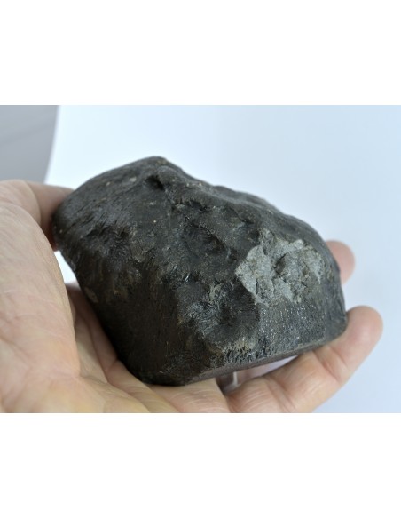 NWA 17939 Oriented Eucrite – Shield-Shaped Complete Individual 595 g