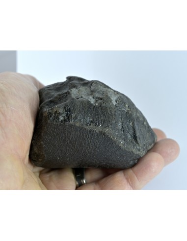 NWA 17939 Oriented Eucrite – Shield-Shaped Complete Individual 595 g