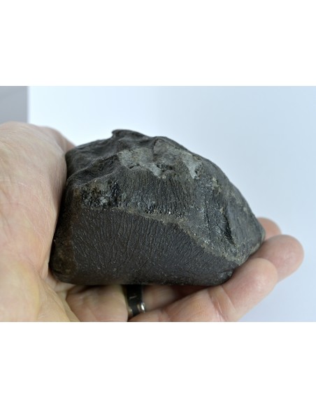 NWA 17939 Oriented Eucrite – Shield-Shaped Complete Individual 595 g