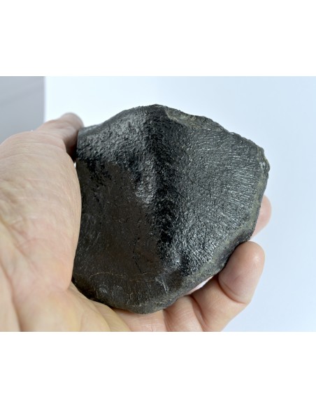 NWA 17939 Oriented Eucrite – Shield-Shaped Complete Individual 595 g