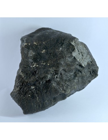 NWA 17939 Oriented Eucrite – Shield-Shaped Complete Individual 595 g