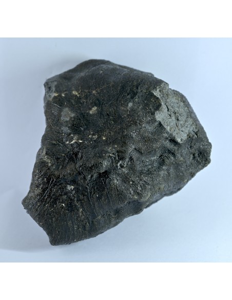 NWA 17939 Oriented Eucrite – Shield-Shaped Complete Individual 595 g