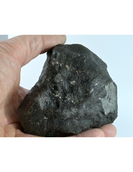 NWA 17939 Oriented Eucrite – Shield-Shaped Complete Individual 595 g