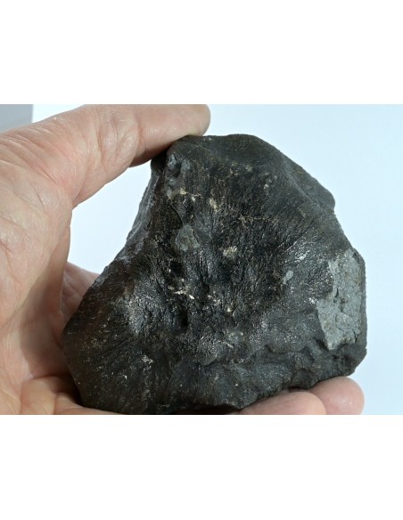 NWA 17939 Oriented Eucrite – Shield-Shaped Complete Individual 595 g