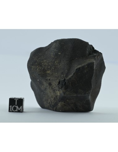 Murchison CM2 Carbonaceous Chondrite 134.85 g | Complete Witnessed Fal