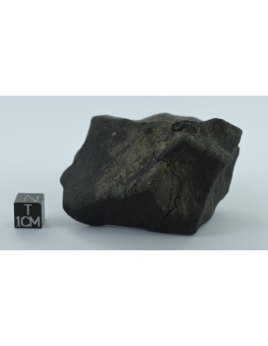 Murchison CM2 Carbonaceous Chondrite 134.85 g | Complete Witnessed Fal