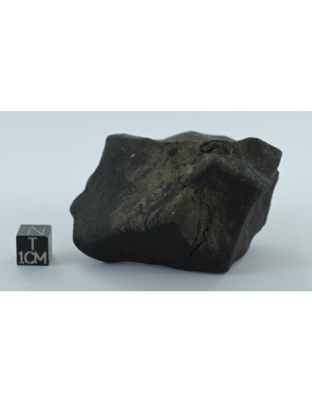 Murchison CM2 Carbonaceous Chondrite 134.85 g | Complete Witnessed Fal