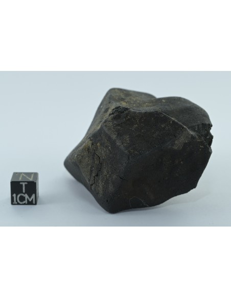 Murchison CM2 Carbonaceous Chondrite 134.85 g | Complete Witnessed Fal
