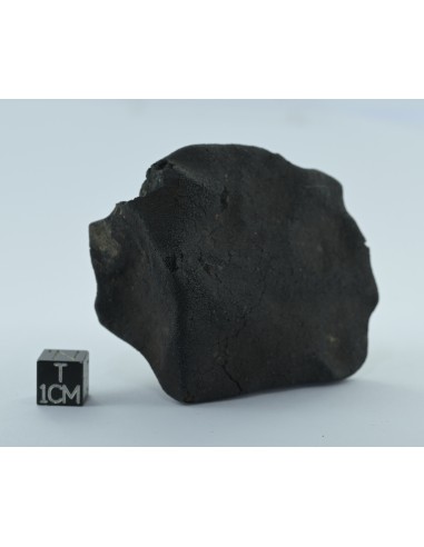Murchison CM2 Carbonaceous Chondrite 134.85 g | Complete Witnessed Fal