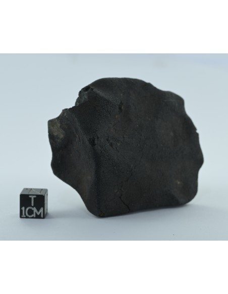 Murchison CM2 Carbonaceous Chondrite 134.85 g | Complete Witnessed Fal