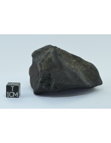 Murchison CM2 Carbonaceous Chondrite 134.85 g | Complete Witnessed Fal