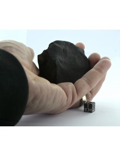 Murchison CM2 Carbonaceous Chondrite 134.85 g | Complete Witnessed Fal 2